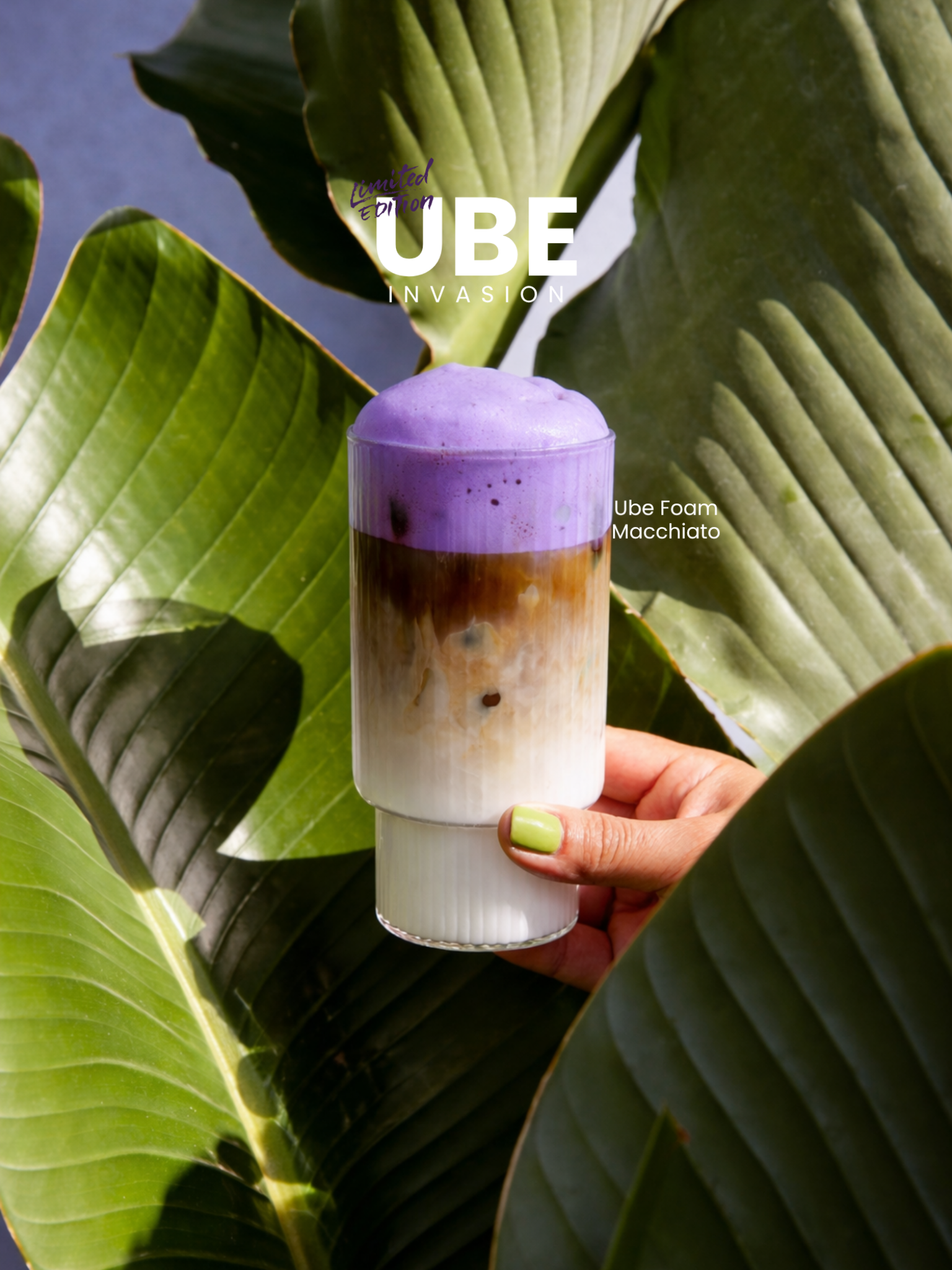 Campaign Development